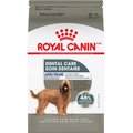 Royal Canin Canine Care Nutrition Large Dental Care Dry Dog Food, 30-lb bag