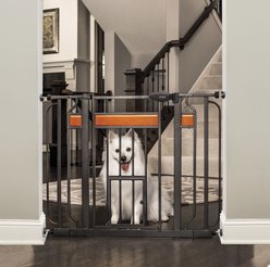 Carlson Pet Products Design Paw Extra Wide Dog Gate, Black, 30-in