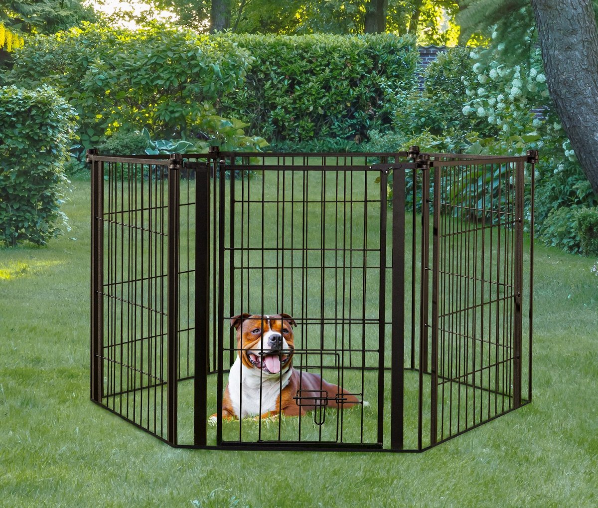 Carlson outdoor sale super pet gate