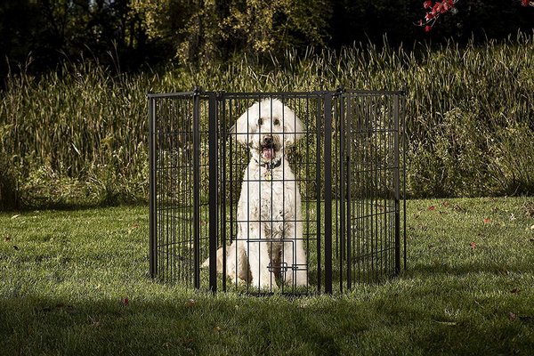 Carlson Pet Products Outdoor Extra Tall Super Wide Dog Gate slide 1 of 3