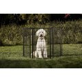 Carlson Pet Products Outdoor Extra Tall Super Wide Dog Gate