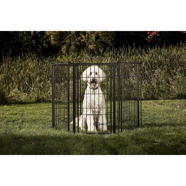 CARDINAL GATES Outdoor Dog Gate, White