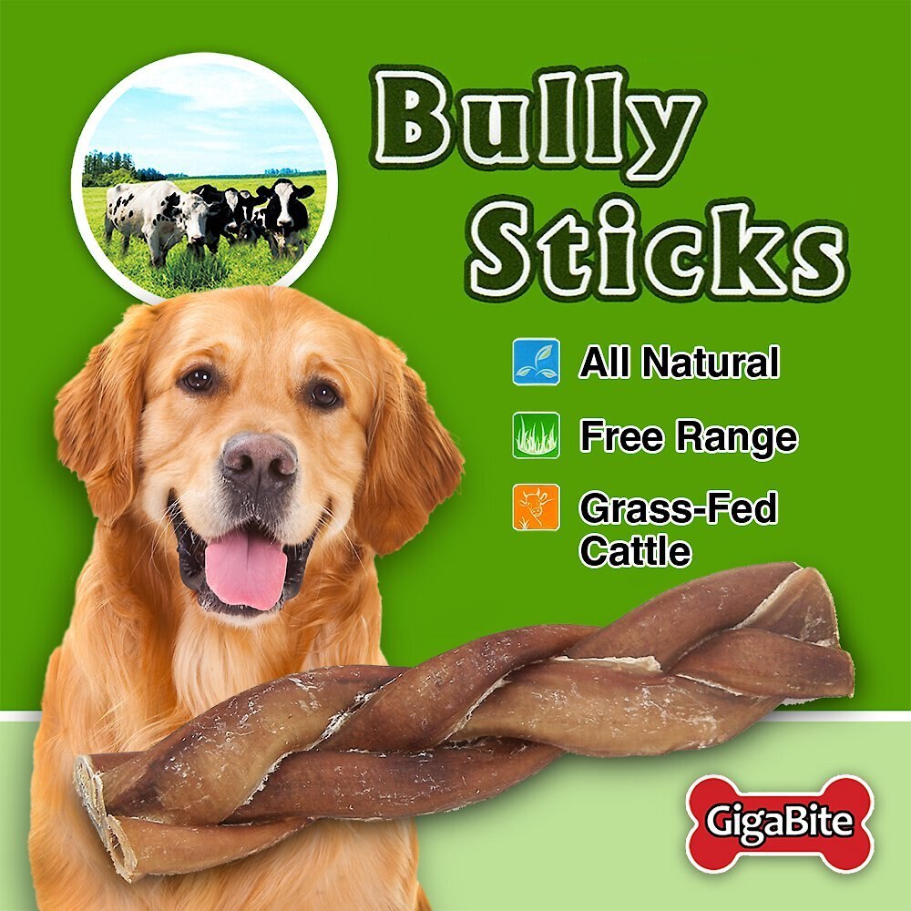 Gigabite bully outlet sticks