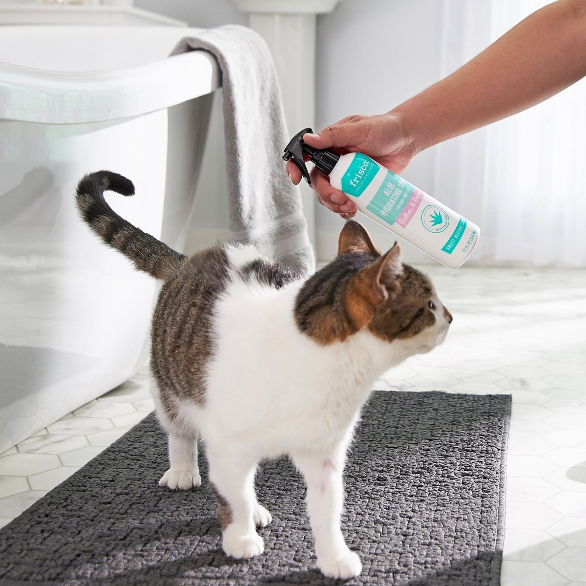 Hydrating spray clearance for dogs