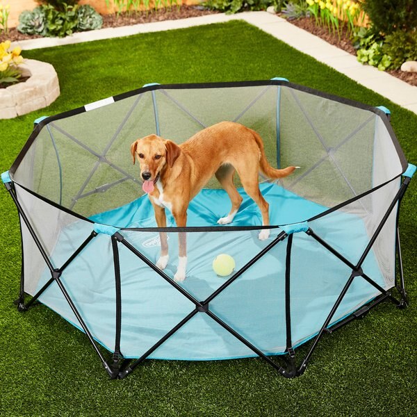 ZAMPA Pet Folding Softsided Dog & Cat Playpen, Blue, Medium