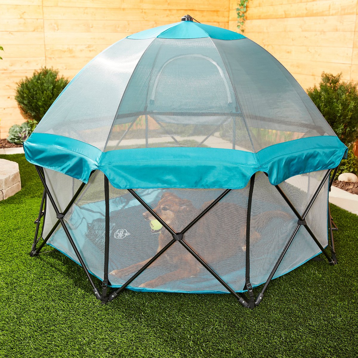 Regalo best sale playpen canopy