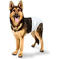 Four Paws Wee-Wee Disposable Dog Diapers, Large/X-Large, 36 count