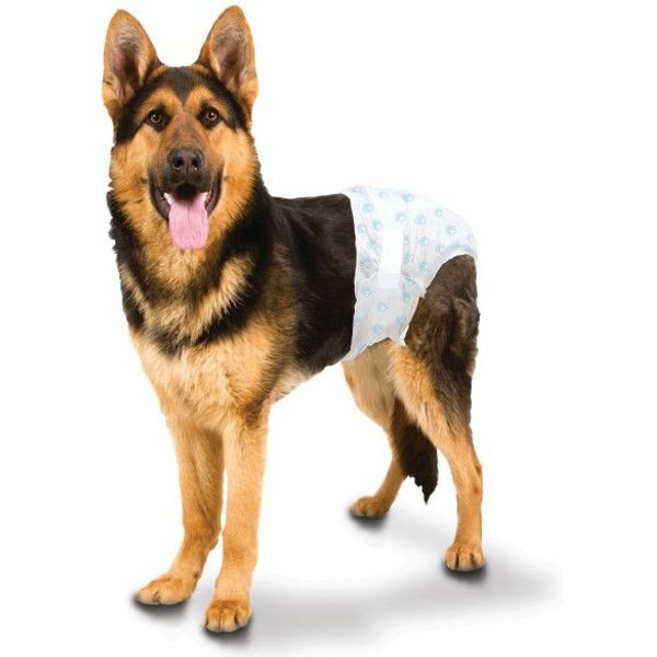 Four Paws WeeWee Disposable Dog Diapers, Large/XLarge, 36 count