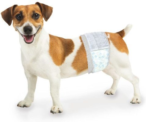 WEE-WEE Disposable Male Dog Wraps, X-Small/Small: 13 to 20-in waist, 36 ...