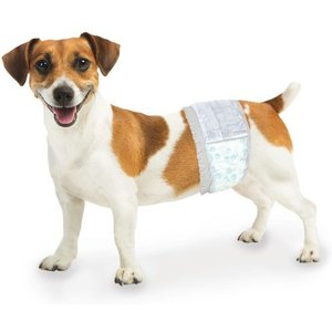 OUT! Disposable Male Dog Wraps, Medium/Large: 18 to 25-in waist, 32 ...