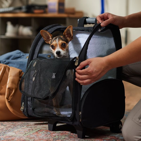 KOPEKS Deluxe Travel Airline-Approved Dog & Cat Carrier Backpack, Black slide 1 of 3