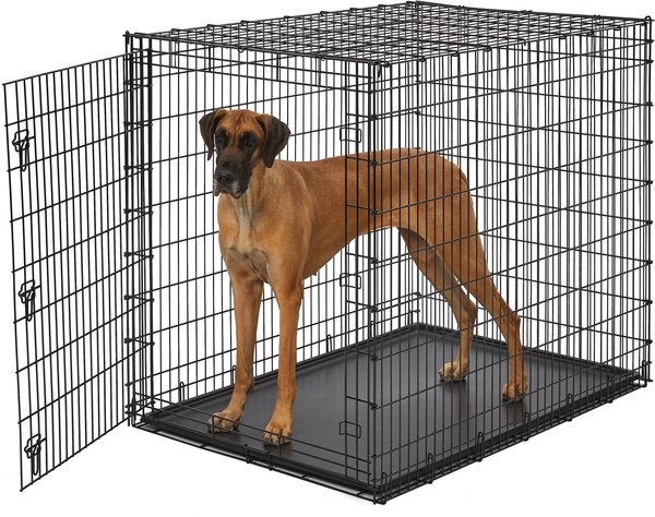 MidWest Solution Series XX-Large Heavy Duty Single Door Dog Crate, 54 inch slide 1 of 5