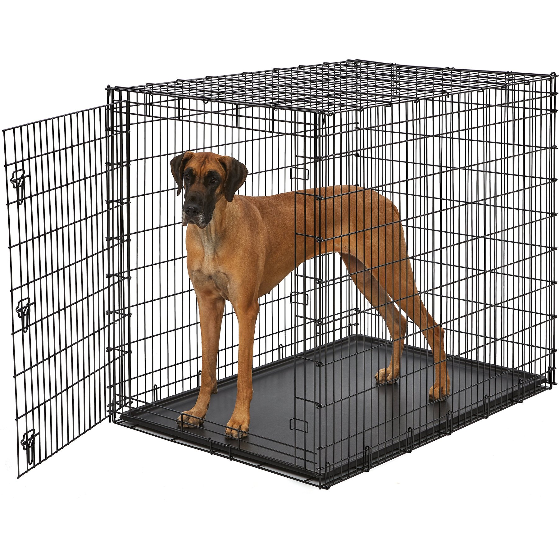 Chewy discount dog kennel