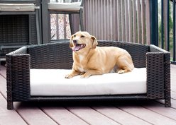 Iconic Pet Rattan Rectangular Sofa Cat & Dog Bed with Removable Cover, Espresso, Small
