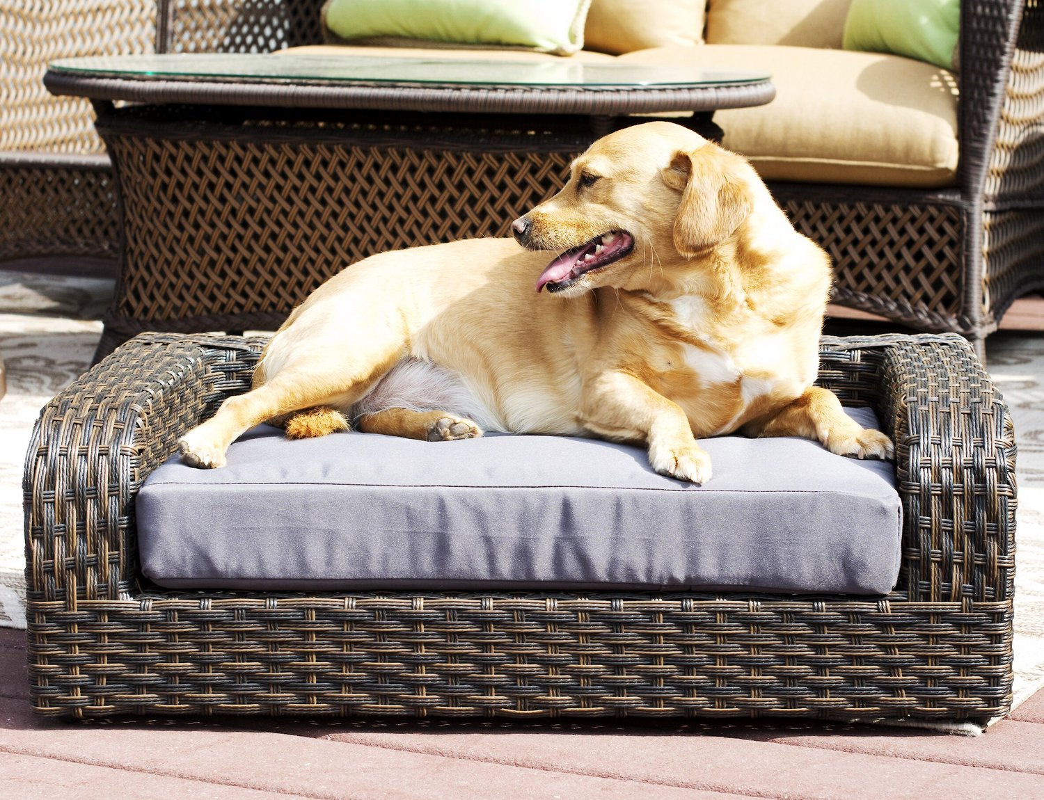 Iconic Pet Rattan Sofa Cat & Dog Bed with Removable Cover, Caramel & Mocha