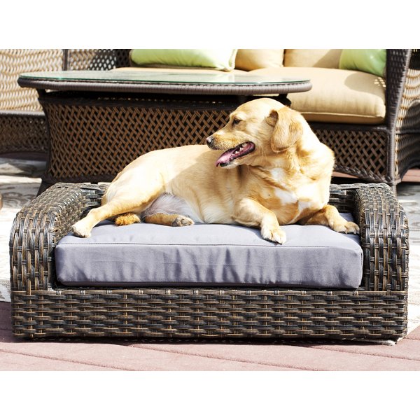 ICONIC PET Rattan Sofa Cat & Dog Bed with Removable Cover, Caramel ...