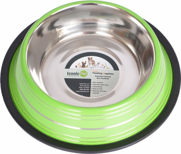 Iconic Pet Color Splash Stripe Non-Skid Stainless Steel Dog & Cat Bowl, Green, 32-oz slide 1 of 6