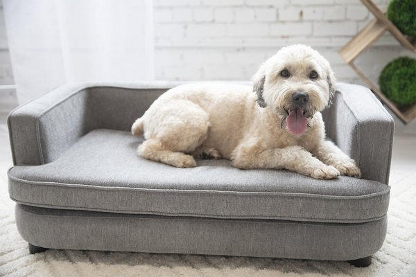 La-Z-Boy Bartlett Furniture Sofa Dog Bed, Pewter slide 1 of 5