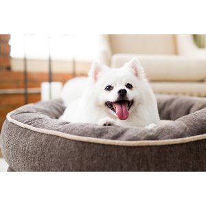La-Z-Boy Buddy Lounger Bolster Dog Bed w/Removable Cover, Granite