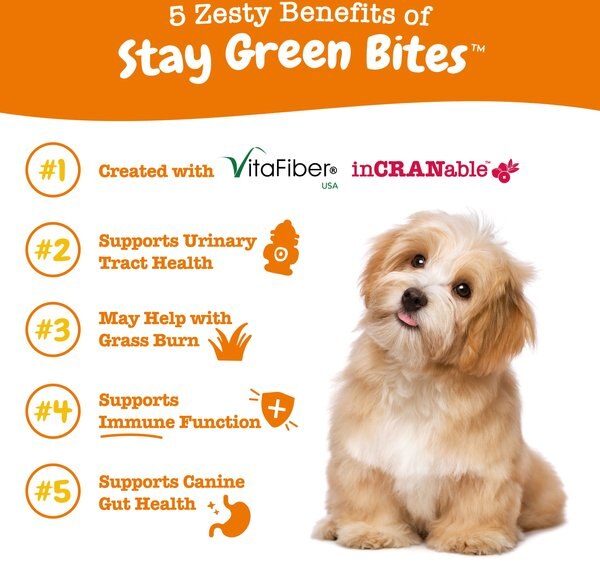 Zesty Paws Stay Green Bites Beef Flavored Soft Chews Grass Protection Urine Neutralizer & Digestive Supplement for Dogs