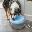 Discontinued - FRISCO Round Dog & Cat Fountain, Blue, 50-oz - Chewy.com