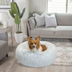 Home Goods for Dogs Free shipping Chewy