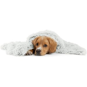 Best Warm Dog Blanket