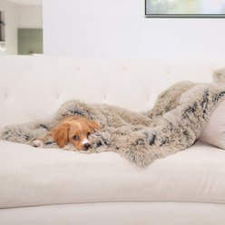 Best Friends by Sheri Throw Shag Dog & Cat Blanket, Taupe, Standard slide 1 of 6