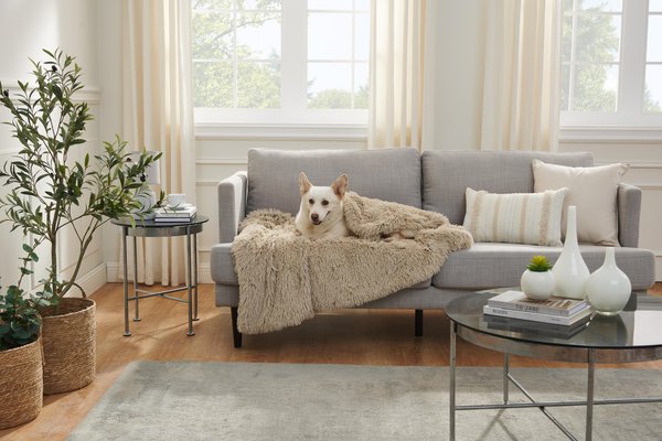 Best dog discount blankets for couch