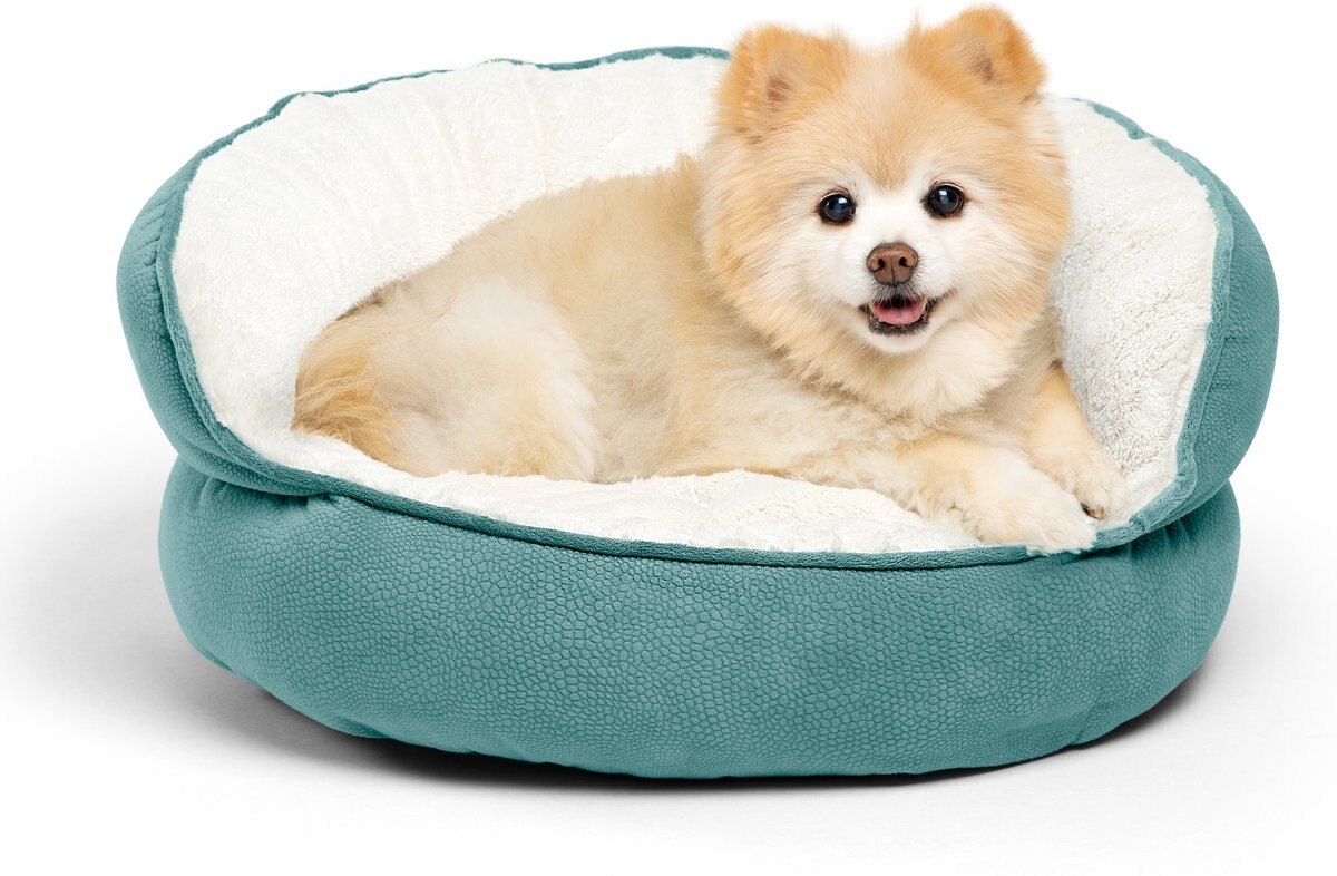 Best Friends By Sheri Throne Cuddler Bolster Cat & Dog Bed, Tide Pool