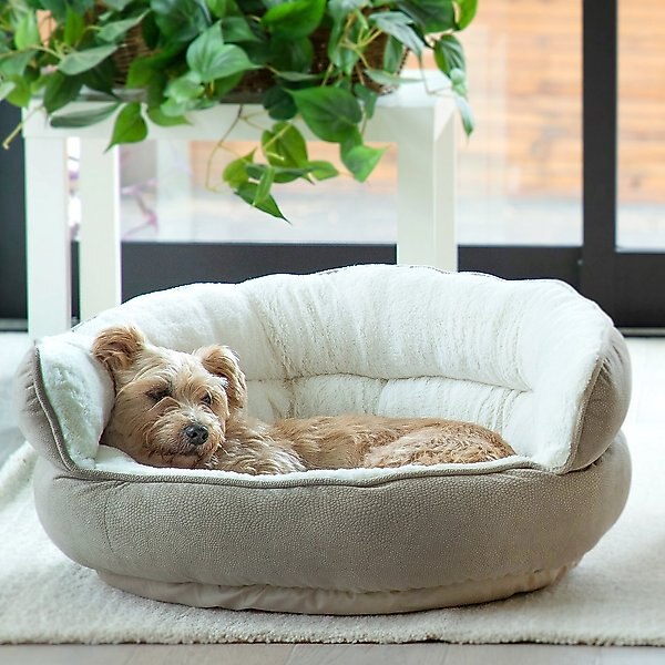 Best Friends by Sheri Throne Cuddler Bolster Cat & Dog Bed, Wheat, Jumbo slide 1 of 6