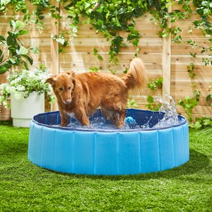 Frisco Outdoor Dog Swimming Pool, Blue, Large
