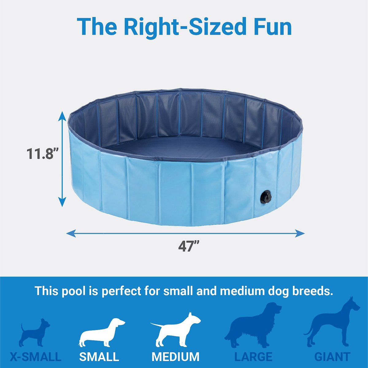 FRISCO Outdoor Dog Swimming Pool, Blue, Large - Chewy.com