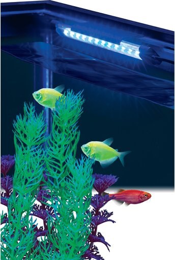 Tetra Care GloFish 6" LED Fish Aquarium Light, Blue