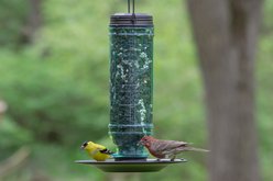 More Birds Songbird Vintage Bird Feeder slide 2 of 2