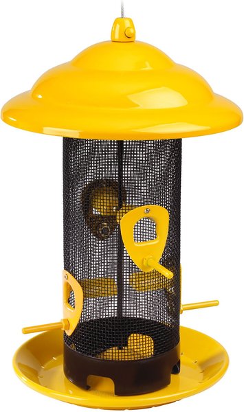 chewy wild bird feeders