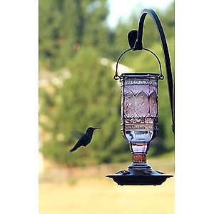 More Birds Amethyst Jewel Hummingbird Feeder, 20-oz