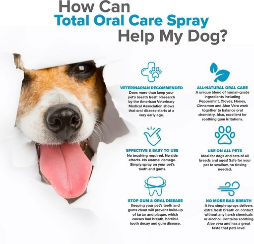 VetSmart Formulas Total Oral Care Dog & Cat Dental Spray, 4-oz bottle, 1 count