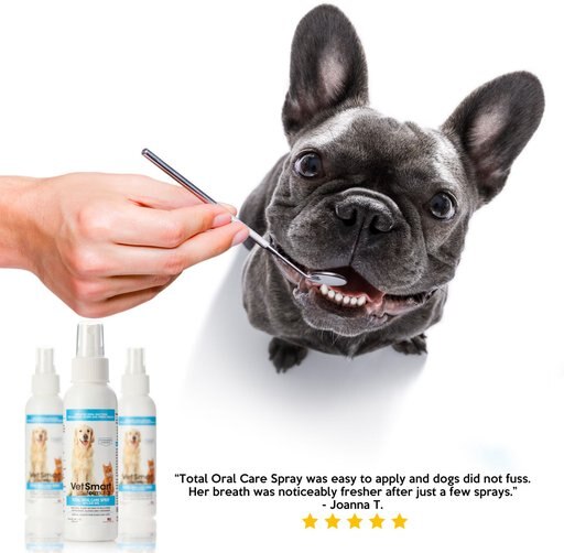 VetSmart Formulas Total Oral Care Dog & Cat Dental Spray, 4-oz bottle, 1 count