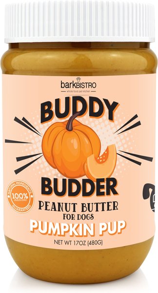 Bark Bistro Company Buddy Budder Pumpkin & Cinnamon Peanut Butter Lickable Dog Treats, 16-oz jar slide 1 of 10