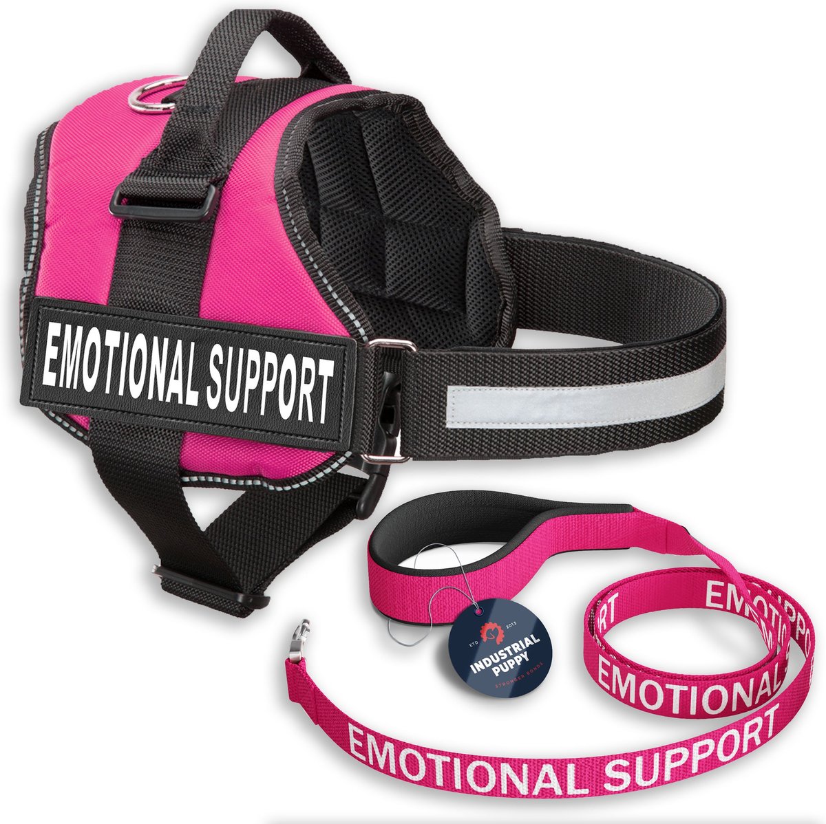 Support store dog collar