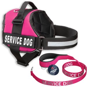 Chewy Vee Check Harness & Lead set – bearsupreme