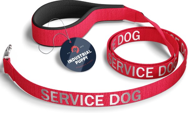Industrial Puppy Nylon Reflective Service Dog Leash, Red, 4-ft long, 1-in wide slide 1 of 5
