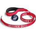 Industrial Puppy Nylon Reflective Service Dog Leash, Red, 4-ft long, 1-in wide