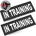 Industrial Puppy Dog In Training Patches, 2 count, Large