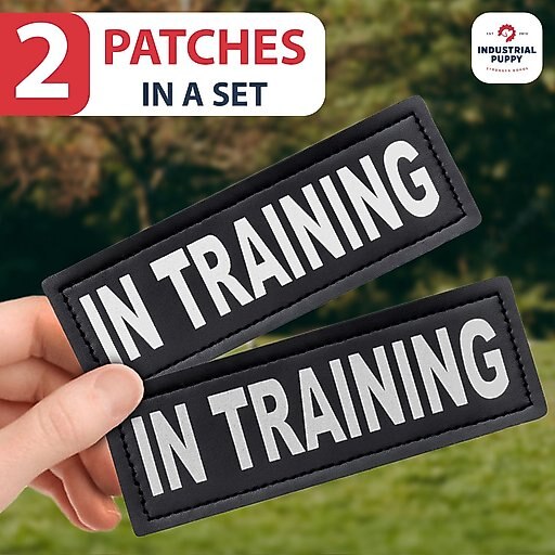 Industrial Puppy Dog In Training Patches, 2 count, Large