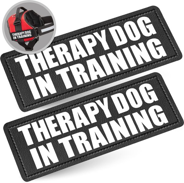 Industrial Puppy Therapy Dog In Training Harness Dog Patch, 2 count slide 1 of 7