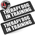 Industrial Puppy Therapy Dog In Training Harness Dog Patch, 2 count