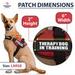 Industrial Puppy In Training Dog Harness, Red