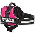 Industrial Puppy Service Dog In Training Vest Reflective Dog Harness, Pink, X-Large: 30 to 39-in chest